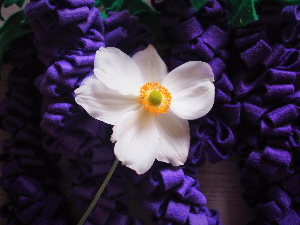 These are my fave!⁠
.⁠
What's your favourite flower?  Have you ever tried to craft one?  Let me know in the comments.⁠
.⁠
#craftboxclubuk⁠
#faveflower⁠
#summerflowers⁠