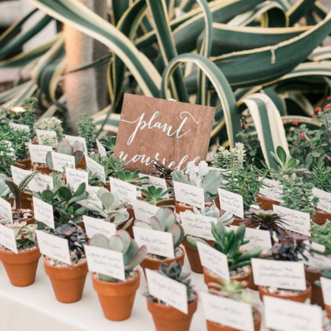 Paradise_Spring's tweet image. 31 Unique Wedding Favor Ideas for Your Guests

Details here: 1l.ink/XXP6LKH

#ParadiseSprings #Oakhurst #Yosemite #Lodge #EventVenue #WeddingVenue #WeddingService #BusinessRetreats #RomanticGetaways