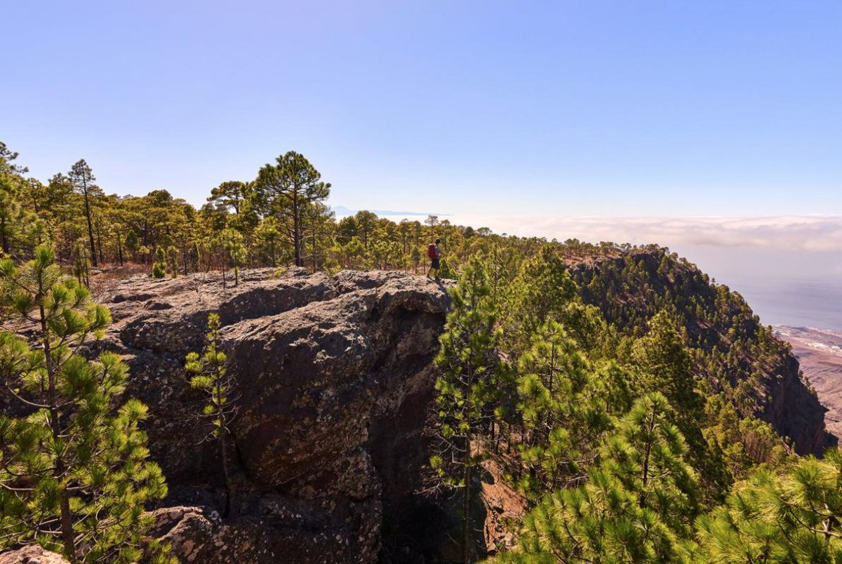 Tamadabatrail's tweet photo. Correrás por paisaje insólitos, ¿te lo vas a perder? Recuerda que aún quedan plazas para las Tamadaba 30km. Inscríbete aquí..
https://t.co/XI5rvAGLjw
...
#tamadabatrail2021 #Rungosay #trailgrancanaria #QueNoTeLoCuenten #trailrunning #IslasCanarias https://t.co/bTOCBrKrjE