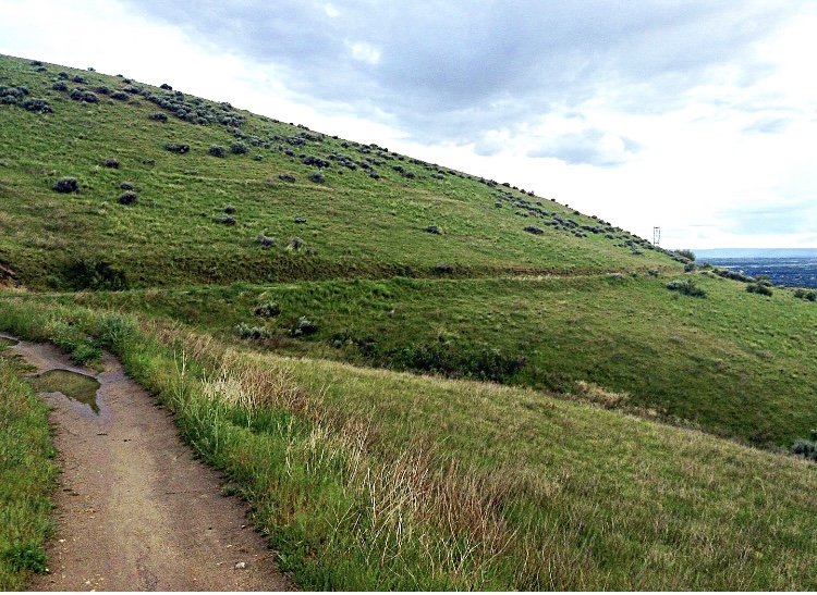 BroncoSportsXC's tweet photo. ๐ AT IT! #TrailTuesday
๐๐ซ๐๐ฌ๐ญ๐ฅ๐ข๐ง๐ is one of Boiseโs most popular trails. Serving as the central artery of the lower foothills, runners can use the trail in combination with five others. Treks can be anywhere from 5โฃ-1โฃ5โฃ miles long!
#BleedBlue #RunBoise https://t.co/GFOB4DRPvU