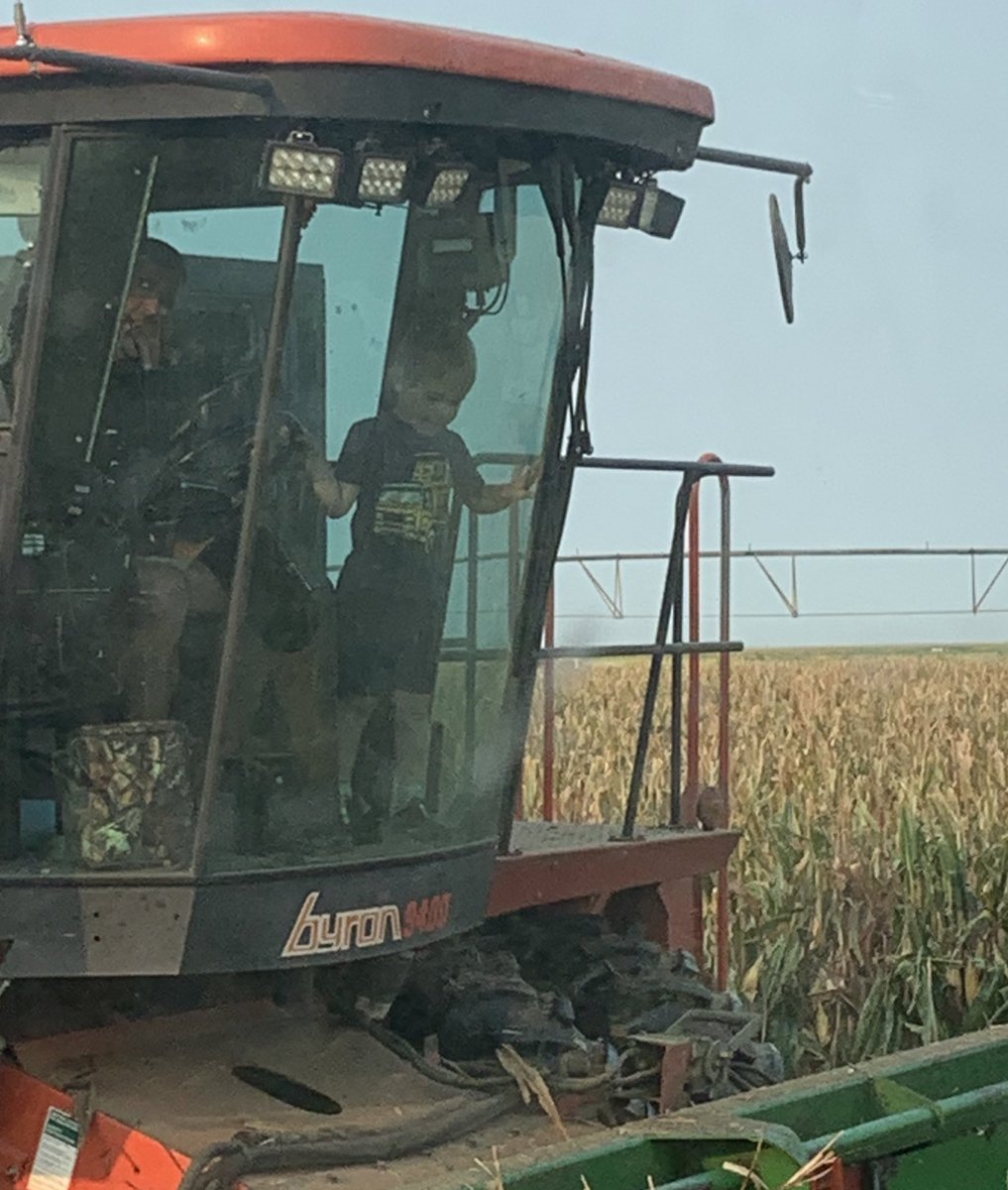 NebFarmerDan's tweet photo. It’s been a little slow the last couple days picking seed corn. We decided to start a drop off day care service to increase revenue. Drop off anytime after 6 am. We will call for pickup when we are done. That can be anytime from noon to midnight, we just don’t know. #SeedCorn2021 https://t.co/VEYrN1Fp62