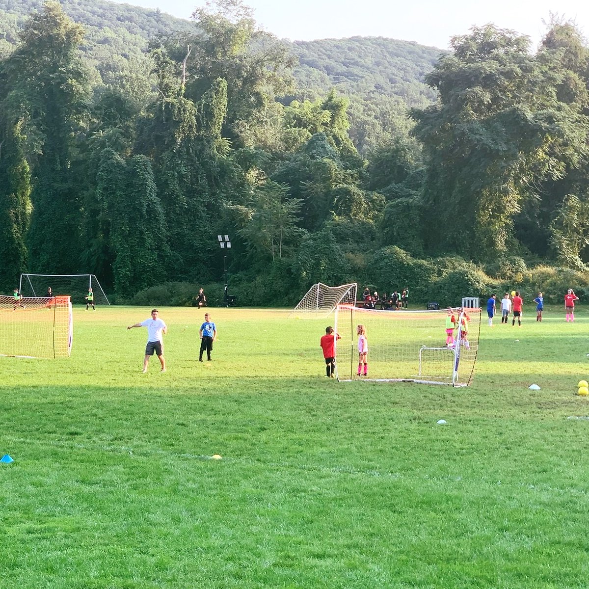 PalumboAcademy tweet media