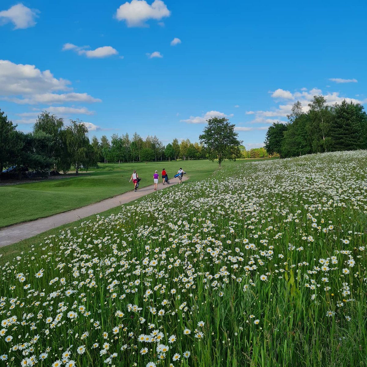 Cosby Golf Club (@cosbygolfclub) on Twitter photo #ThankAGreenkeeper <a href="/EnglandGolf/">England Golf</a> Totally agree, times have been tough and we want to thank Tom and his fantastic team <a href="/cosbygreensteam/">Cosby Greenkeeping</a> for all their hard work, time, passion and dedication. #ThankAGreenkeeper <a href="/EnglandGolf/">England Golf</a> Totally agree, times have been tough and we want to thank Tom and his fantastic team <a href="/cosbygreensteam/">Cosby Greenkeeping</a> for all their hard work, time, passion and dedication.