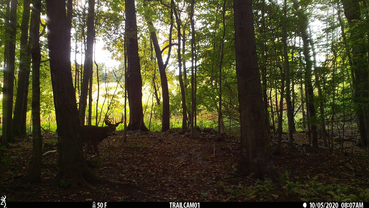 FederalPremium's tweet photo. #terminalascenttuesday
Our users are relying on Terminal Ascent for their #itsfederalseason, like fan Dalton V. who kept an eye on this buck until the moment was right. Looks like he nailed that moment using Terminal Ascent 6.5 Creedmoor π https://t.co/v9PU1ic9pq