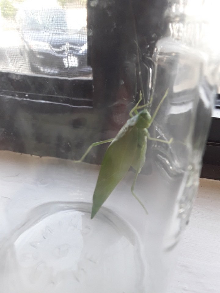 Marci Hilliker tweet media