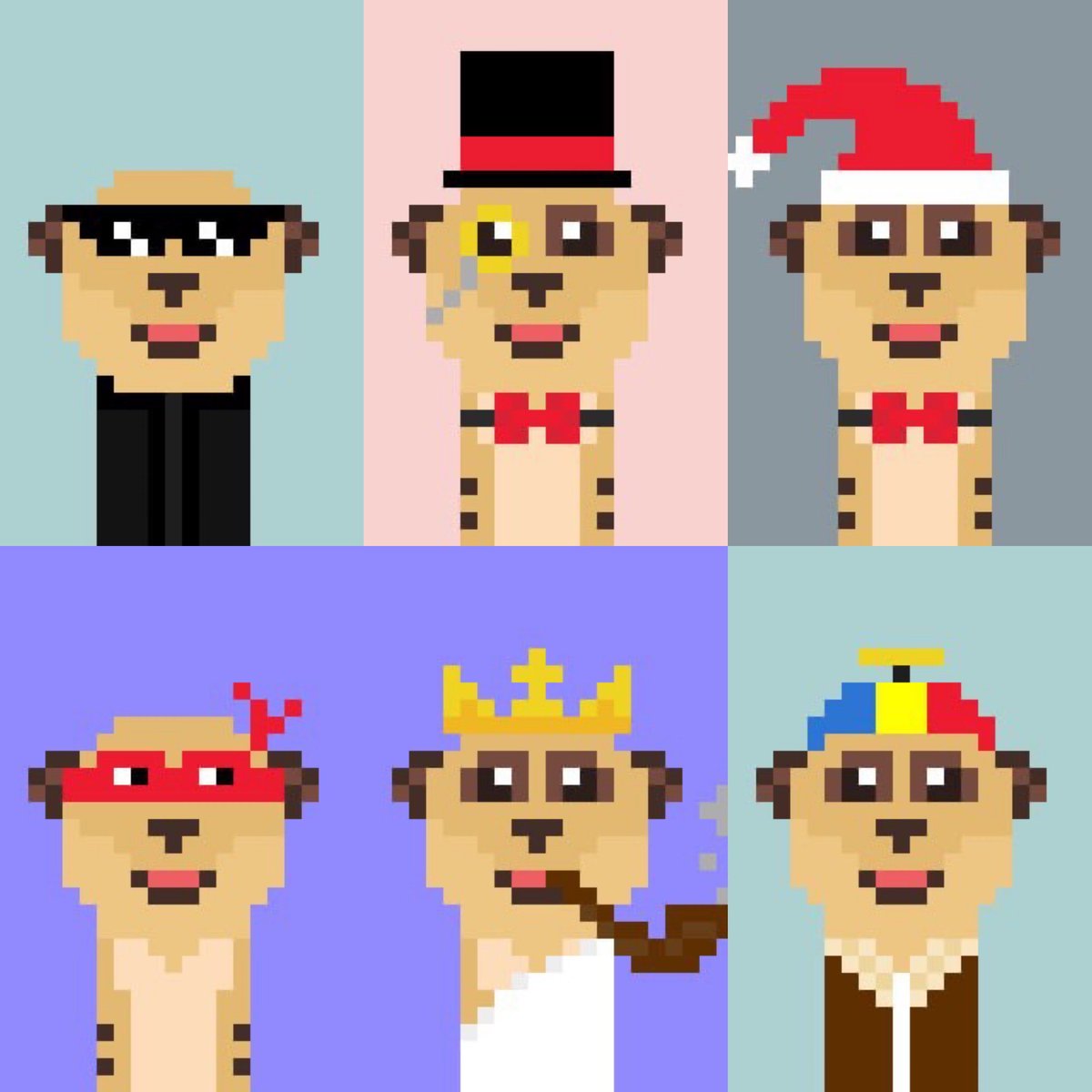 HoDooi.com tweet media