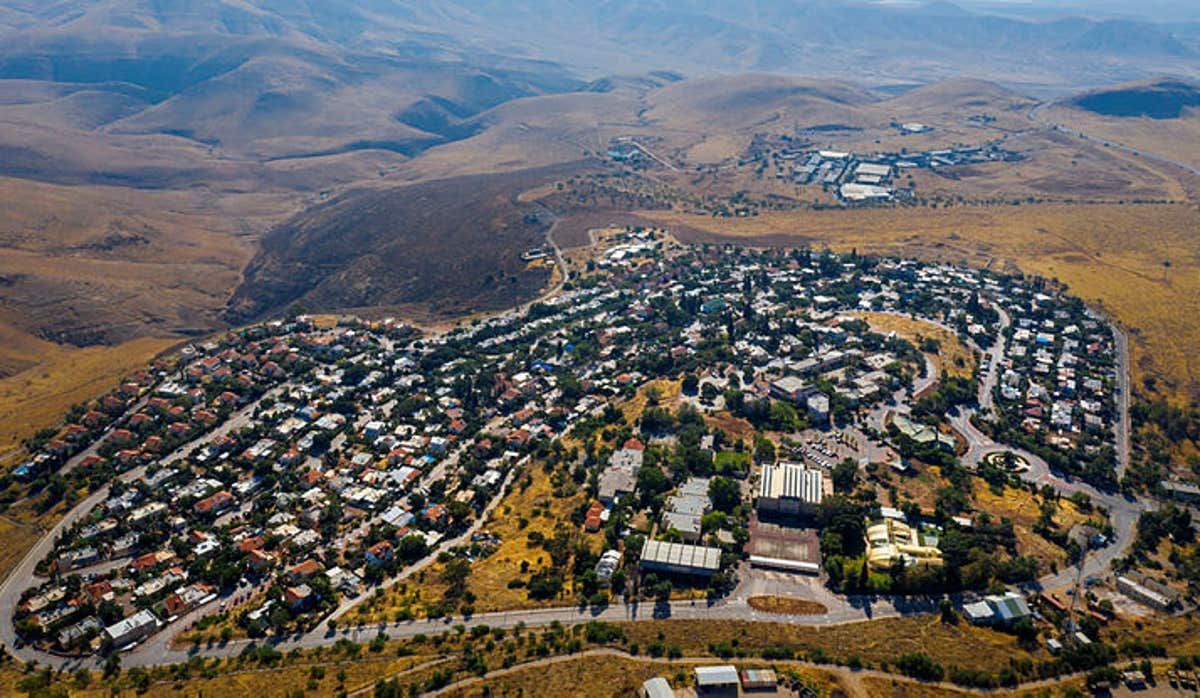 The IMEU tweet media