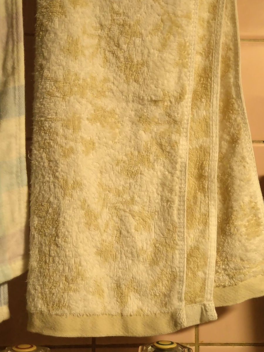 タオルの柄に美少女を見た 