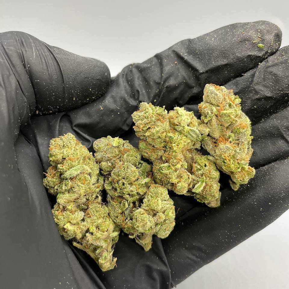 4Growe's tweet image. 