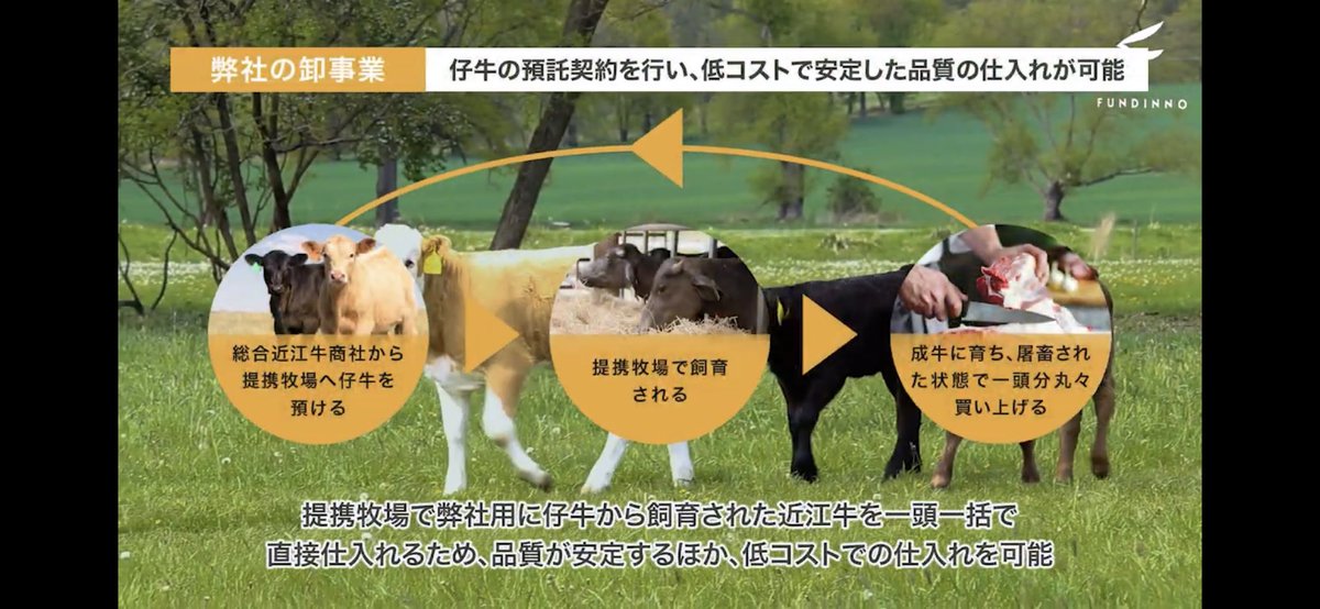 K Hirai こちらでは ホルスタインになってます T Co Ic3kqiqazp