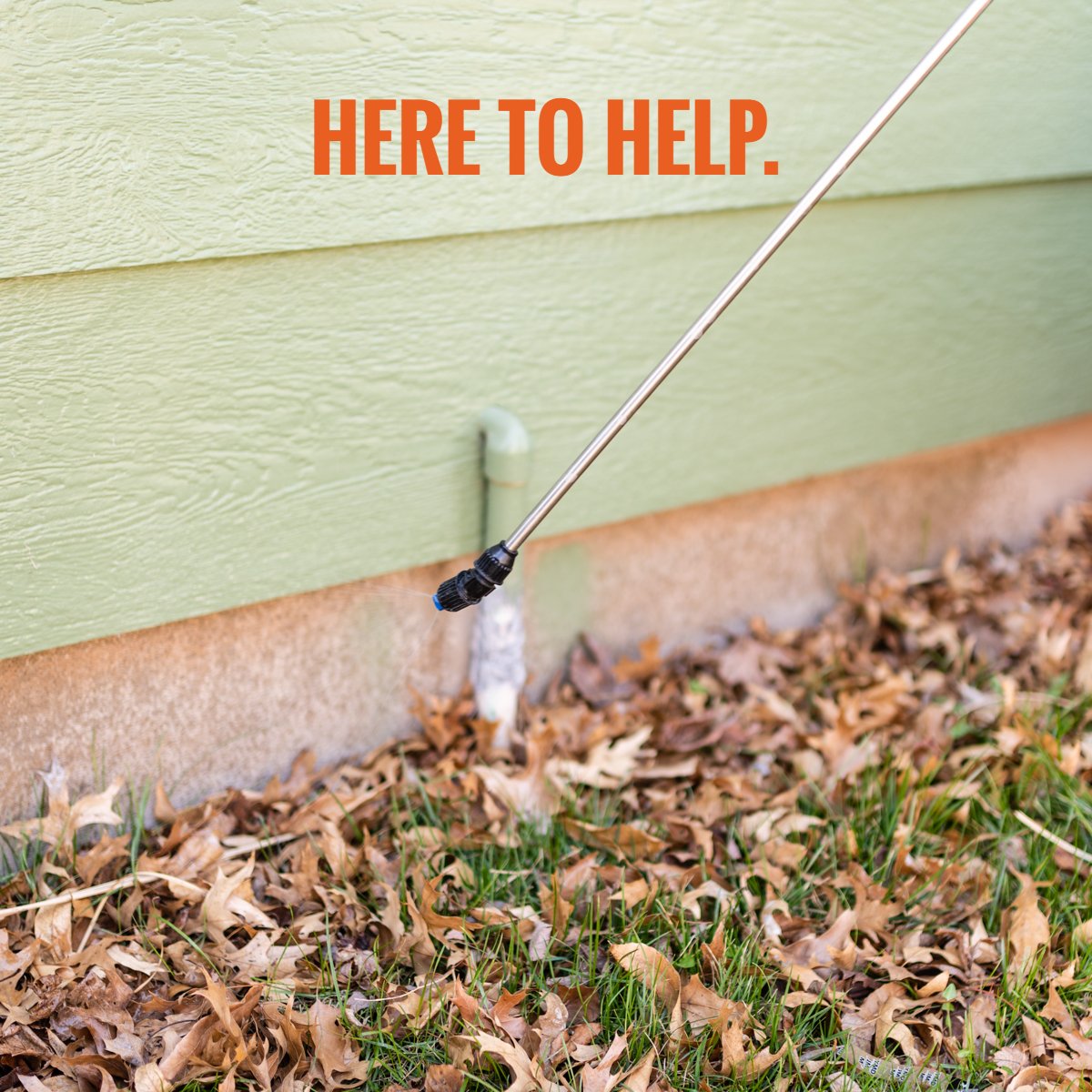 ipmstrategy's tweet photo. We're passionate about providing high-quality, professional pest control to the Indianapolis community. For more information about our services, visit our website: https://t.co/FblWFBnafV! https://t.co/f21nUnwLB2