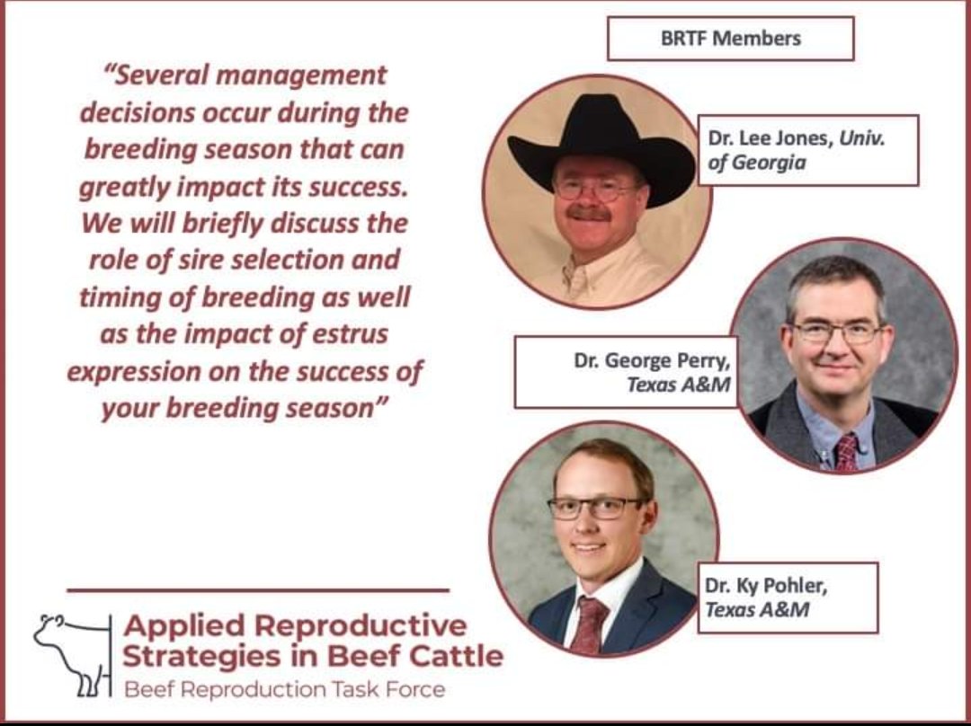 beef_repro's tweet photo. 2021 #ARSBC online conference! Speaker highlight - Dr. Lee Jones, Dr. George Perry, and Dr. Ky Pohler from @universityofga @TAMU @aglifesciences @tamuansc
All members of the @beef_repro!! Register for free https://t.co/Vy4qBS5ciq https://t.co/lLaTUoAITE