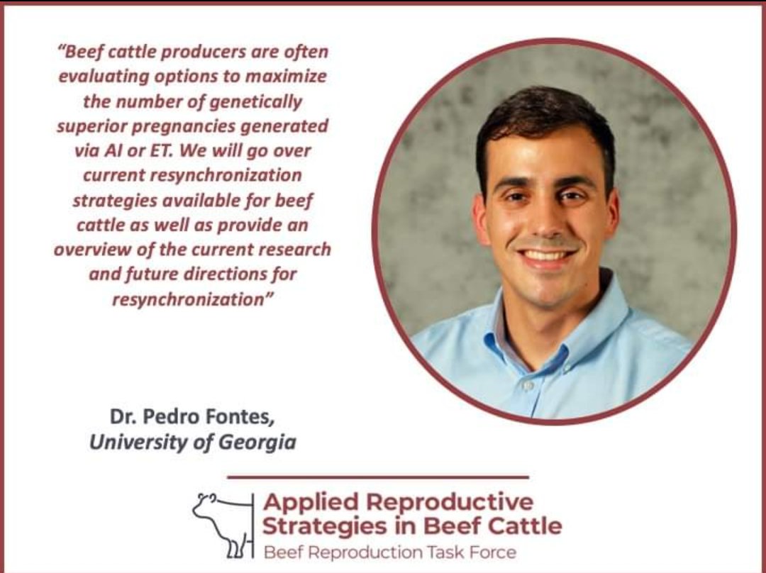 beef_repro's tweet photo. 2021 #ARSBC online conference! Speaker highlight - Dr. Pedro Fontes from @universityofga 
Register for free https://t.co/Vy4qBS5ciq https://t.co/UAZwS3kgHw