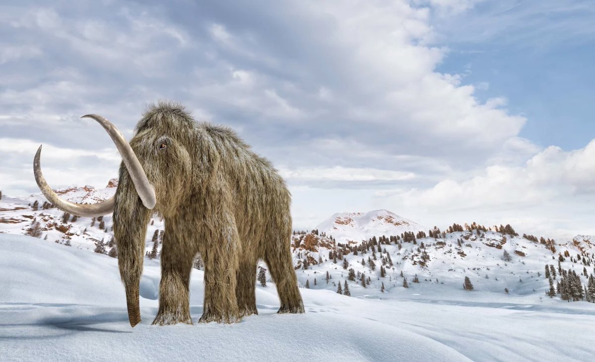 UW-Oshkosh tweet media