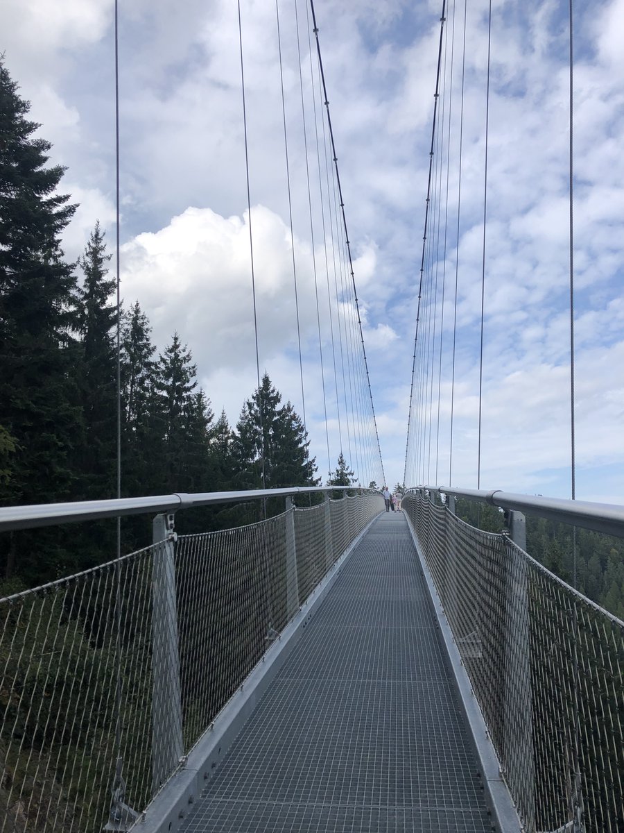 KalleHD's tweet photo. Und danach wurde es königlich wild #wildline #hängebrücke #badwildbad https://t.co/8p821eL1Iu