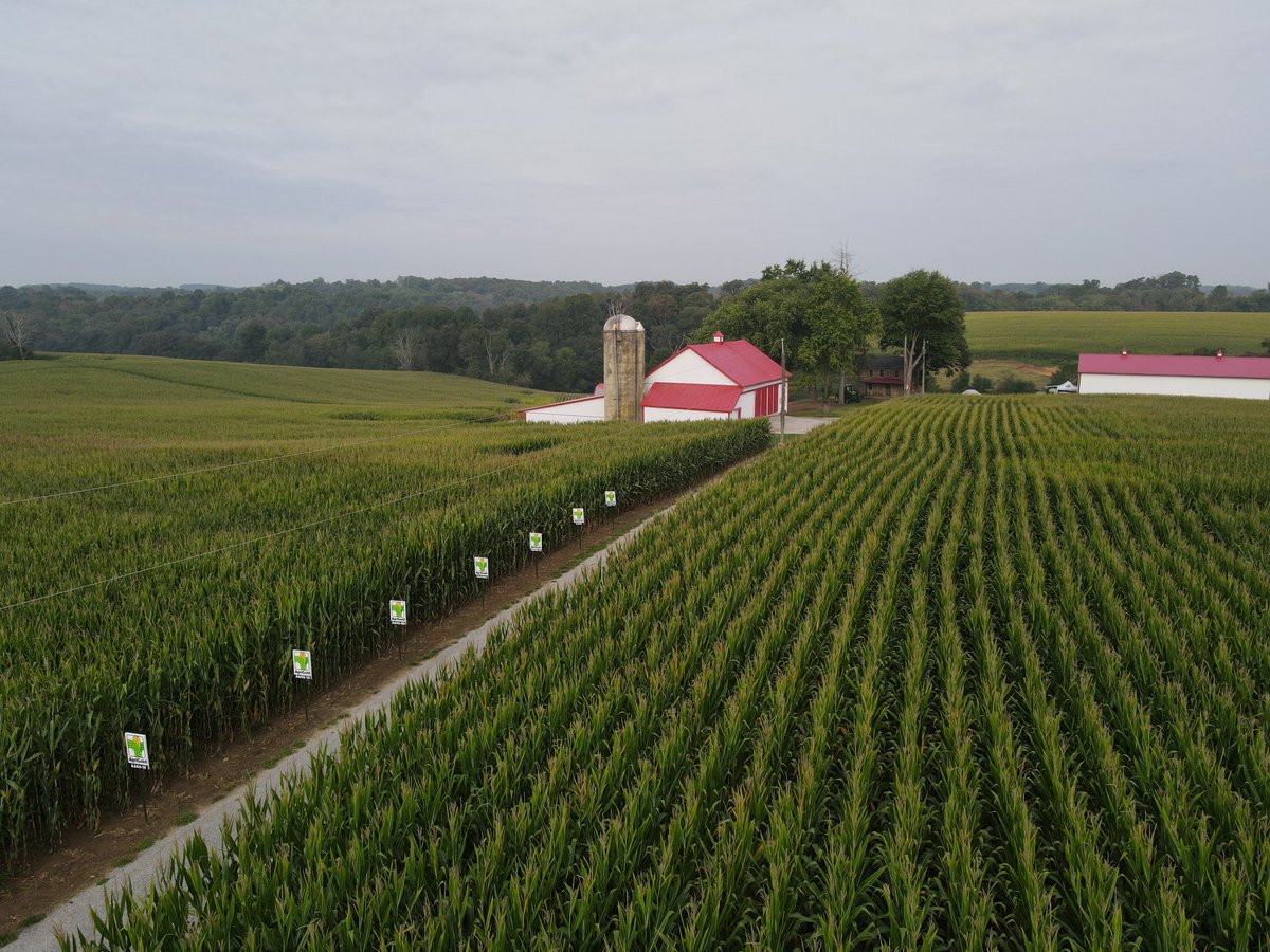 Monty's Plant Food Company tweet media