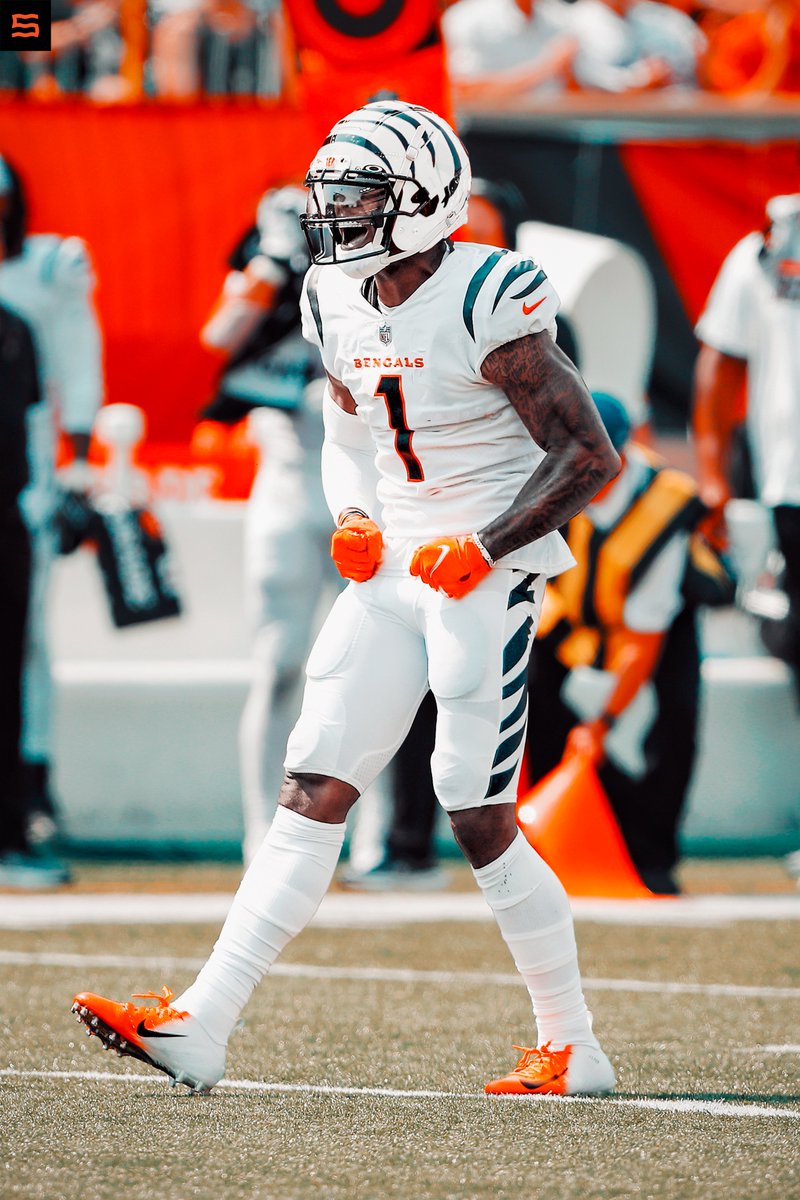 SethR94's tweet photo. ya know what we want @Bengals 
#WhiteTiger 🐅 https://t.co/GxnydzT1fQ