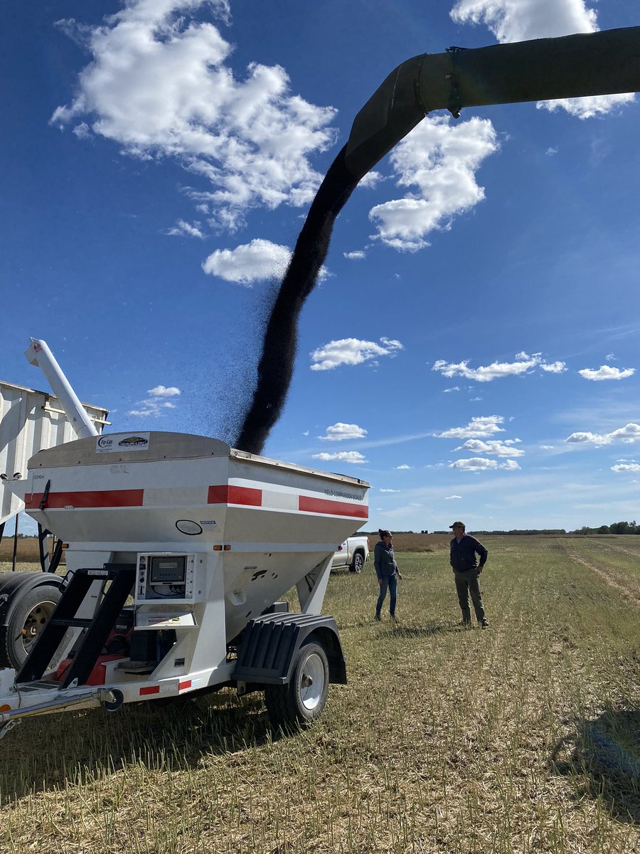Thank you to Wayne for an excellent yield trial! <a href="/wooffwayne/">Wayne Wooff</a> <a href="/NBuitenhuis/">Nicole Buitenhuis</a> <a href="/PioneerSeedsCA/">Pioneer Seeds Canada</a>