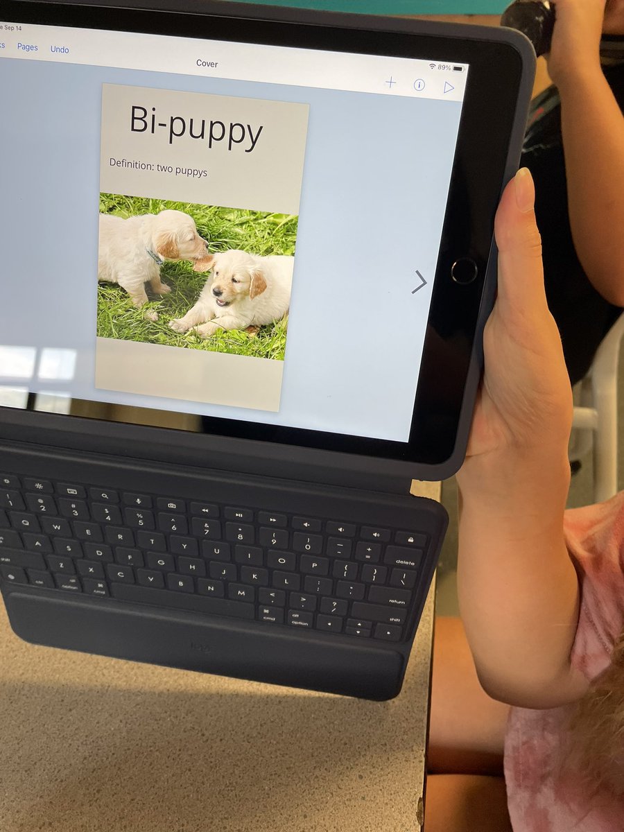 Elena Caracci tweet media