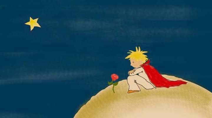 Ben üzgündüm. 
Ama onlara yorgunum dedim.
Küçük Prens...

Hayırlı Geceler...