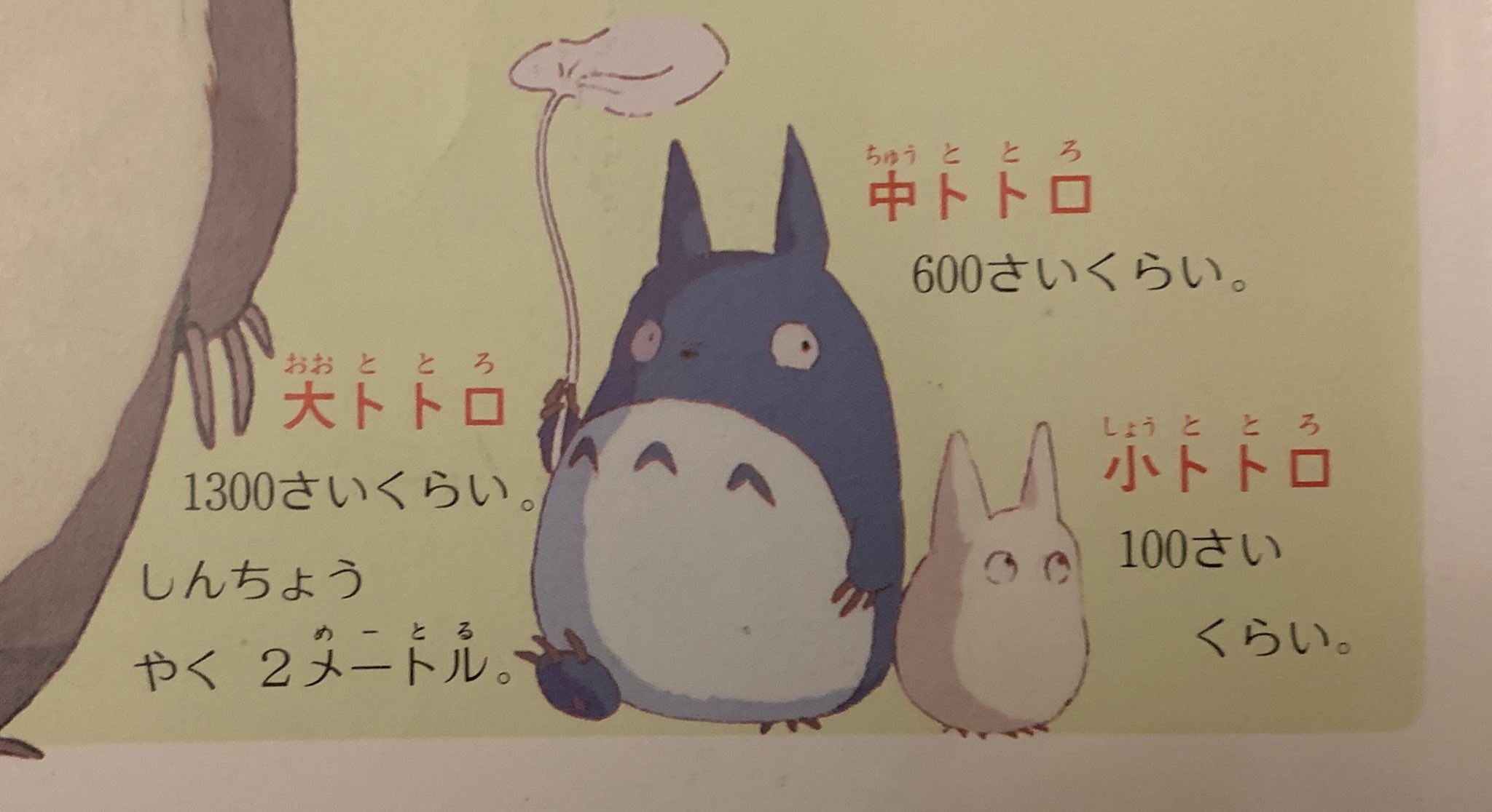 ⭐︎新品未使用⭐︎トトロ　大量　おまとめ みんな大好き「となりのトトロ」とFoxfireが夢のコラボ。トトロ