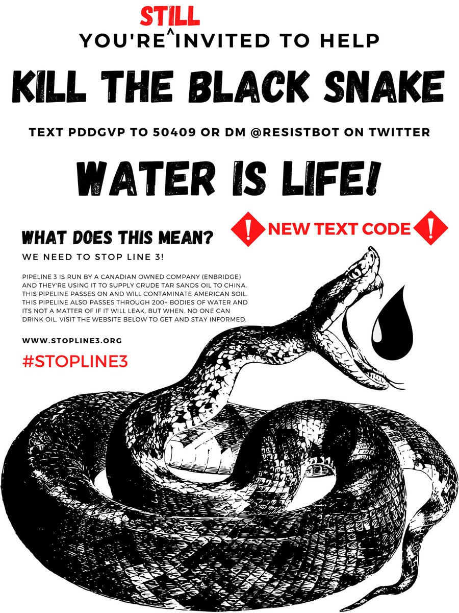 imaryatt_'s tweet image. ‼️ROUND 2‼️LINK IN BIO‼️

#StopLine3 #StopLine3Pipeline #LandBack  #IndigenousRights #WaterIsLife
