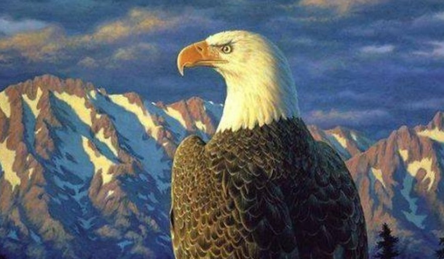 ArnauTera's tweet image. Contándole a todo el mundo todos tus planes,
lo único que conseguirás es que se rompa
la magia de todos tus proyectos y viajes.
Un águila no le va contando a nadie de
donde viene ni a donde se dirige,
ella felizmente solo vuela;
silenciosa, solitaria y libre.
- Arnau de Tera -