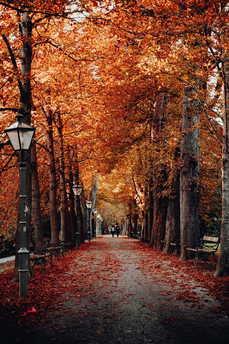 lexestep's tweet photo. my favorite season https://t.co/MSwIJkmaUR