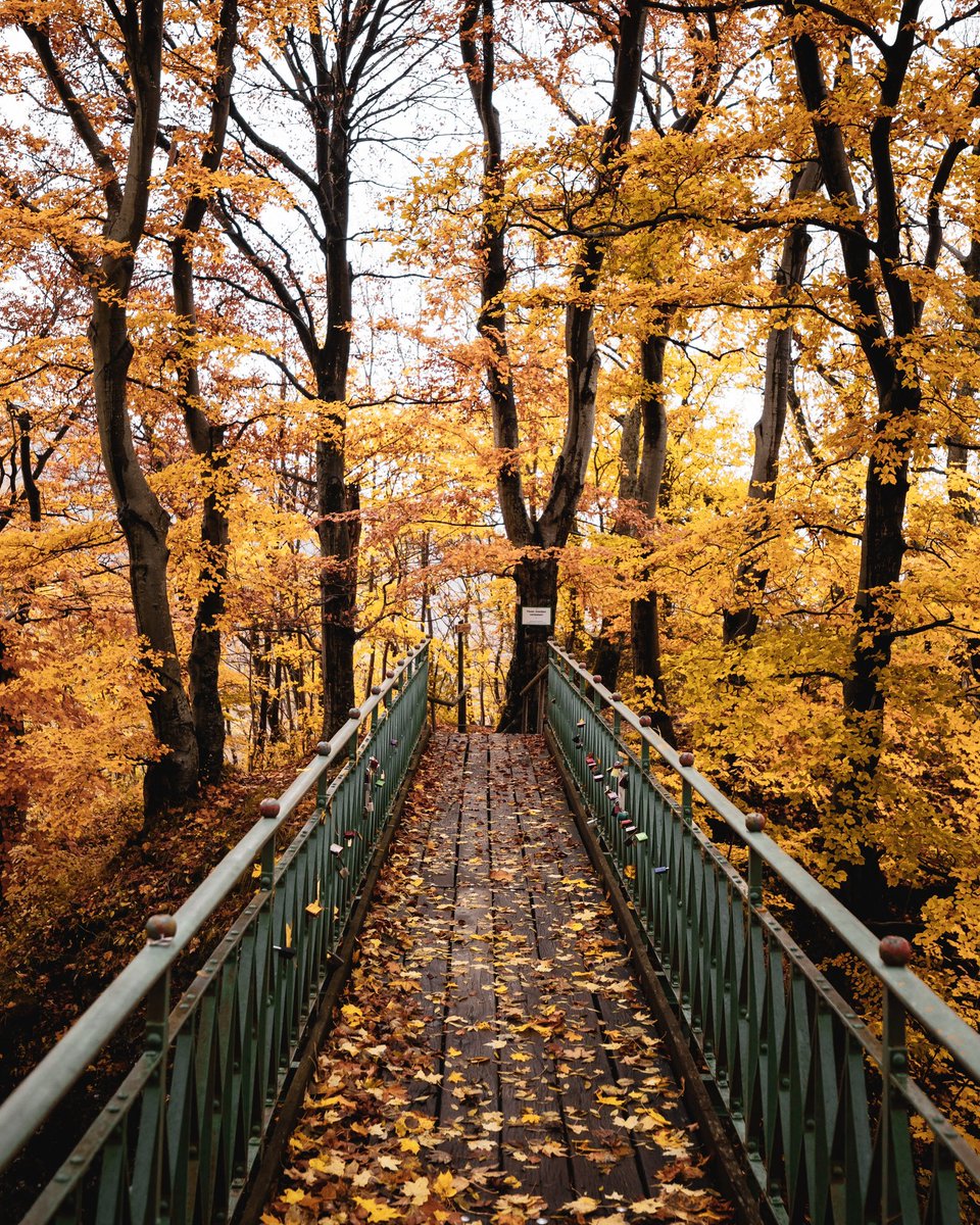 lexestep's tweet photo. my favorite season https://t.co/MSwIJkmaUR