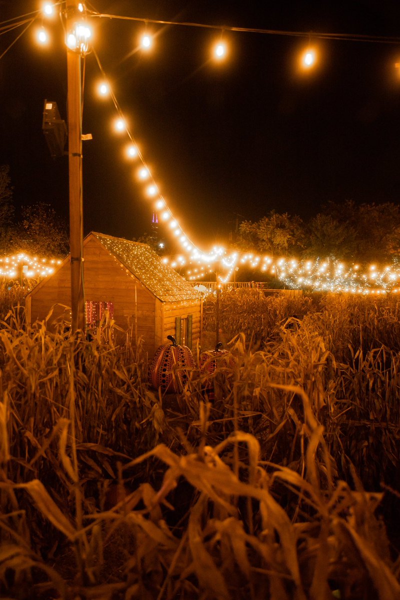my favorite season