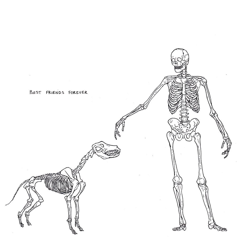 Wolves Enjoyer tweet media