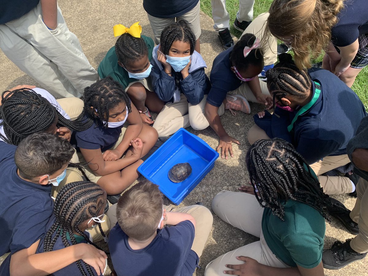 We have been learning about body systems and structure. We happened upon this little guy after learning about the skeletal system. We always have opportunities to learn! 💕🐢 <a href="/DicksonTigers/">E.R. Dickson Tigers</a> @PrincipalERD