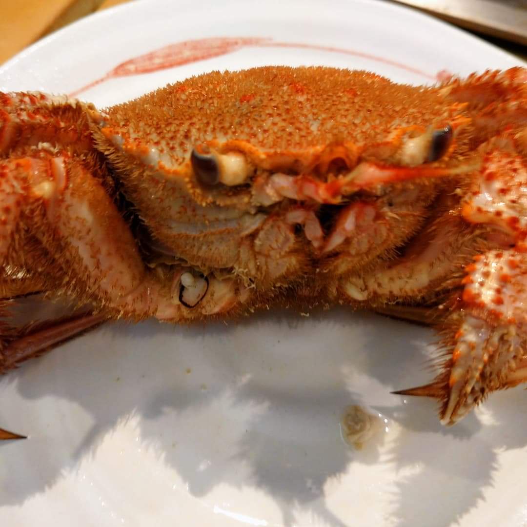 毛カニ Twitter Search Twitter