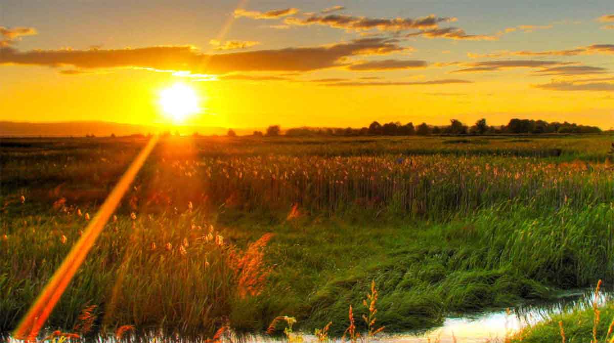 Don't point to the sky and say there is no sun because of a cloud. As long as you have the confidence to deal with problems, life is full of sunshine.