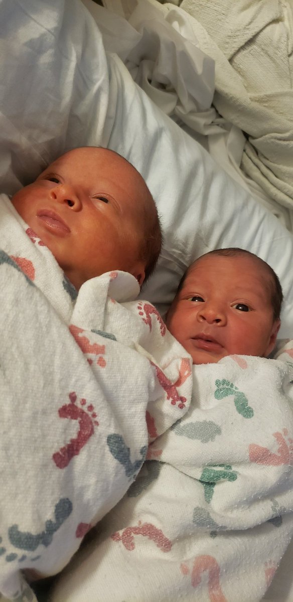 ReneeJ2114's tweet photo. Meet the newest Eagles to the Egalenest!!!! https://t.co/lvemL1bJdr