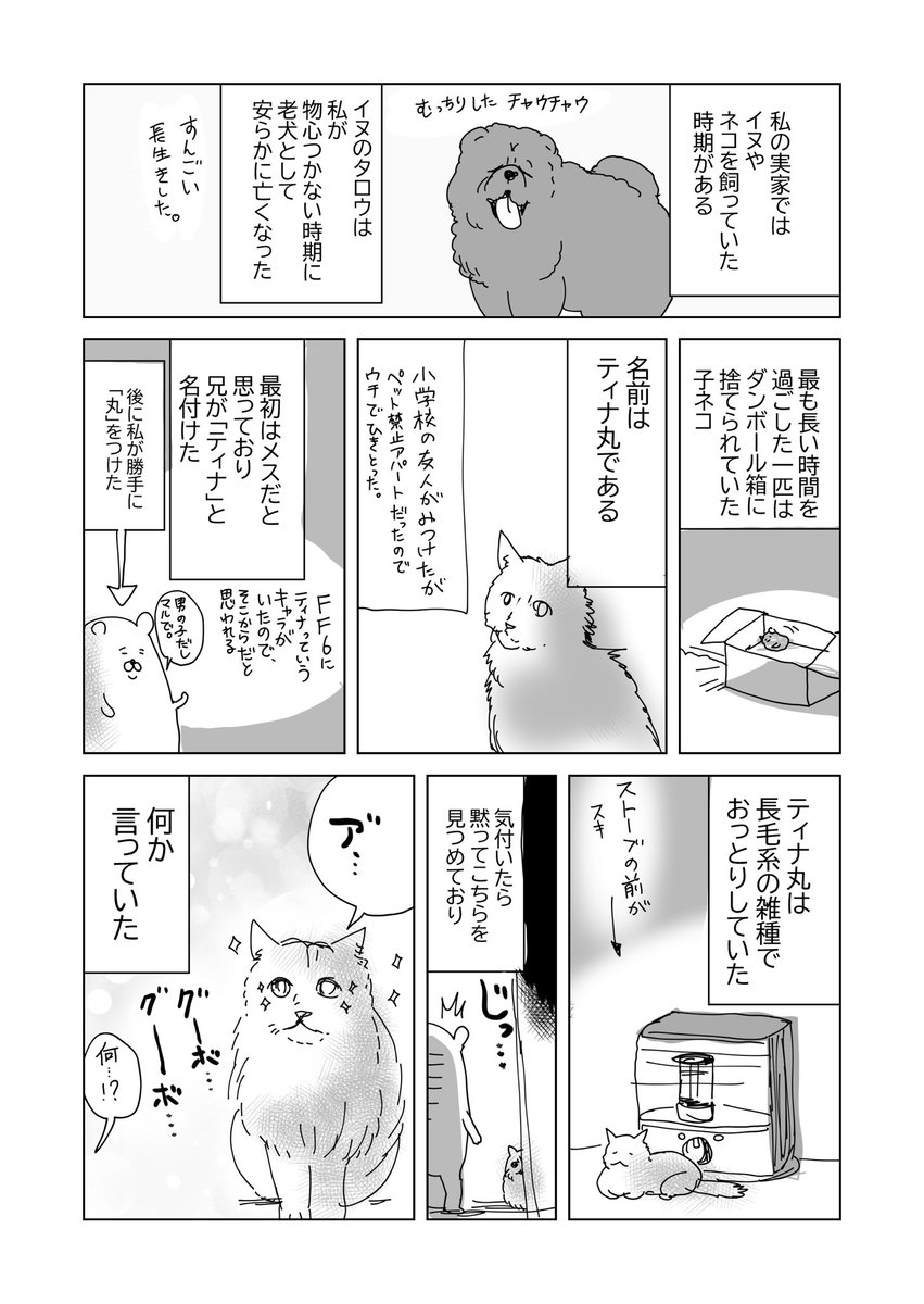 私が長毛のネコ大好きな理由1/2
※動物とのお別れ表現があります。見たくないお方は注意してください 