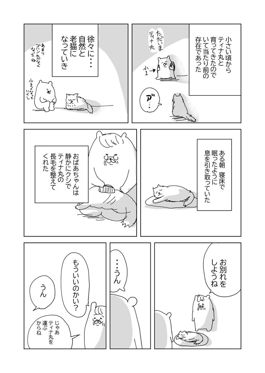 私が長毛のネコ大好きな理由1/2
※動物とのお別れ表現があります。見たくないお方は注意してください 