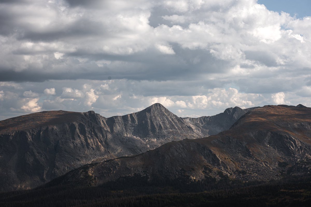 minizmal tweet media