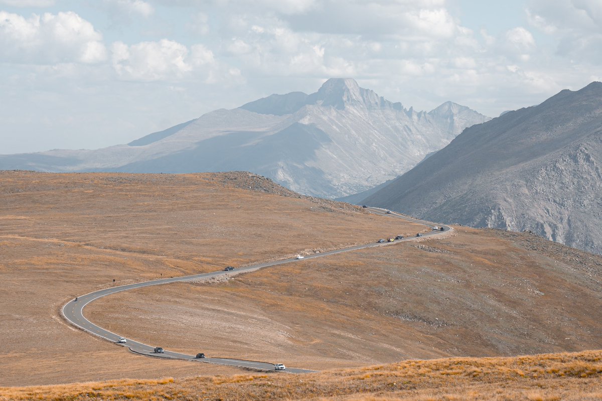 minizmal tweet media