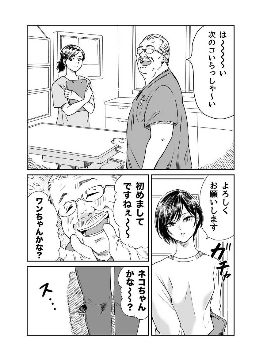 土屋 みほ tweet media