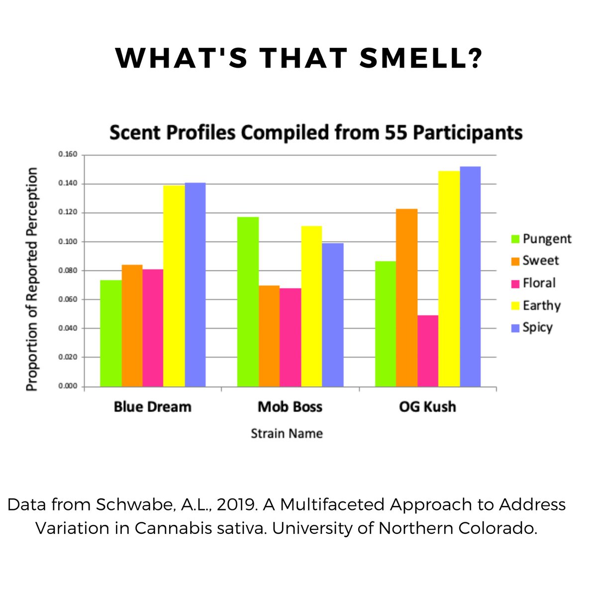 What chemical compounds are responsible for the smells of Cannabis?

- Dr. Anna Schwabe, PhD

#curiousaboutcannabis #cannabisscience #cannabis #cannabiscommunity #cannabisindustry #terpenes #aldehydes #cannaroma #cannabiseducation #hempeducation