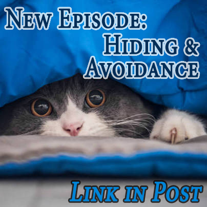 KittenKPod's tweet photo. https://t.co/GYanOQdYhy

It's not uncommon for #cats to hide out, but when it becomes disruptive to them, it's time to investigate and try to correct it. In this episode, we'll discuss why cats hide and how to help them when they do it a little too much. #podcast #catsoftwitter https://t.co/oZIRnqwz2y