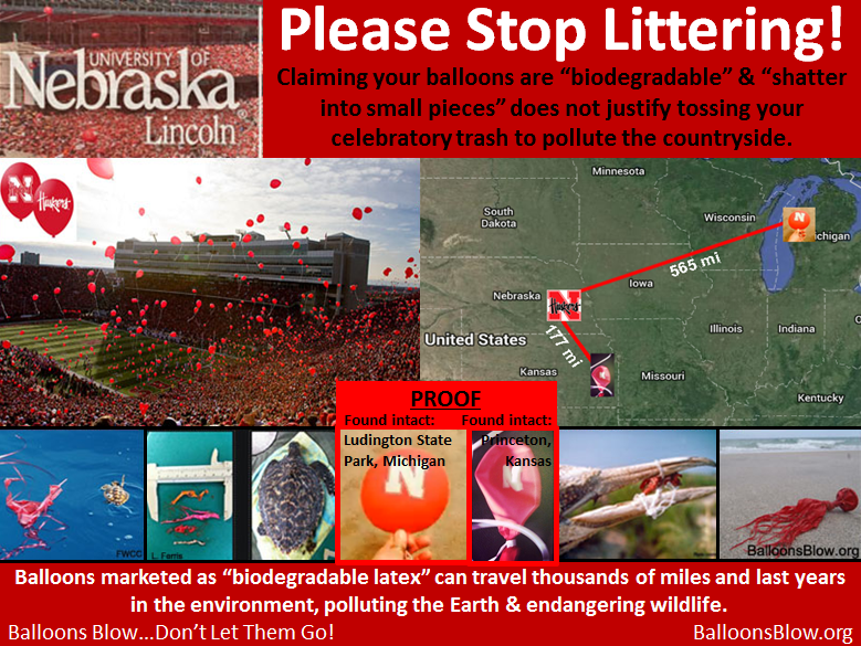 BalloonsBlow's tweet photo. @iamonejim Not so good to see where flying balloons end up.. It's time for #Huskers to stop the school sanctioned #masslittering events #balloons are fly away trash. #balloonskill @Huskers https://t.co/z74njoosLo
