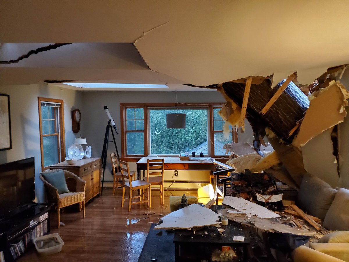 @stevemoforce.bsky.social tweet media