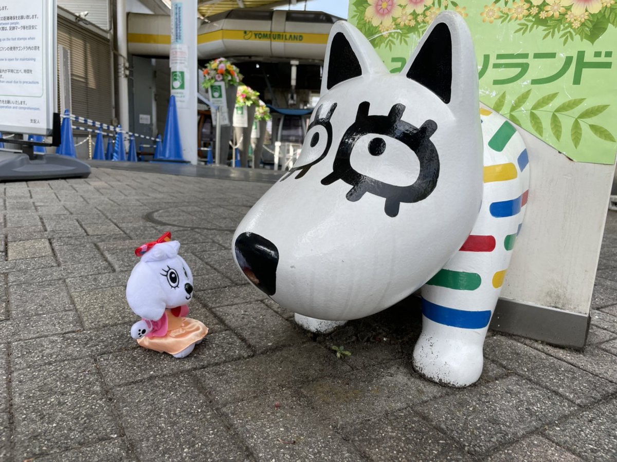 よみうりランド遊園地 公式 推しと楽しめる遊園地 推しラン 開催決定 ぬい撮り スポット盛りだくさんの 推し活 応援イベントを9 10 金 初開催 ぜひみなさんの 推し を連れて遊びに来てください 詳しくはこちら Gt Gt T