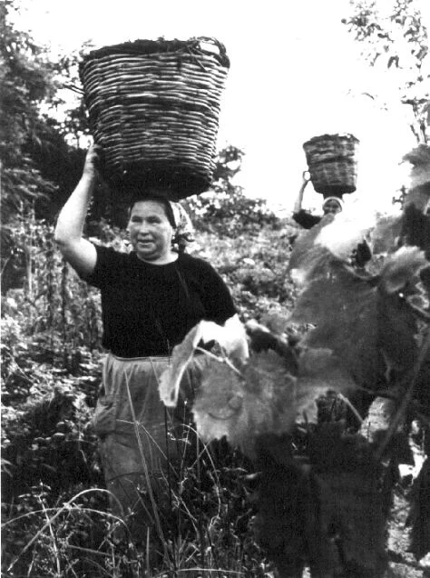 Carrying things on your head is a classic thing lmao, I remember reading how when there were no cars, bikes, etc these women would do more than 12 miles by foot every day to sell their harvest. 