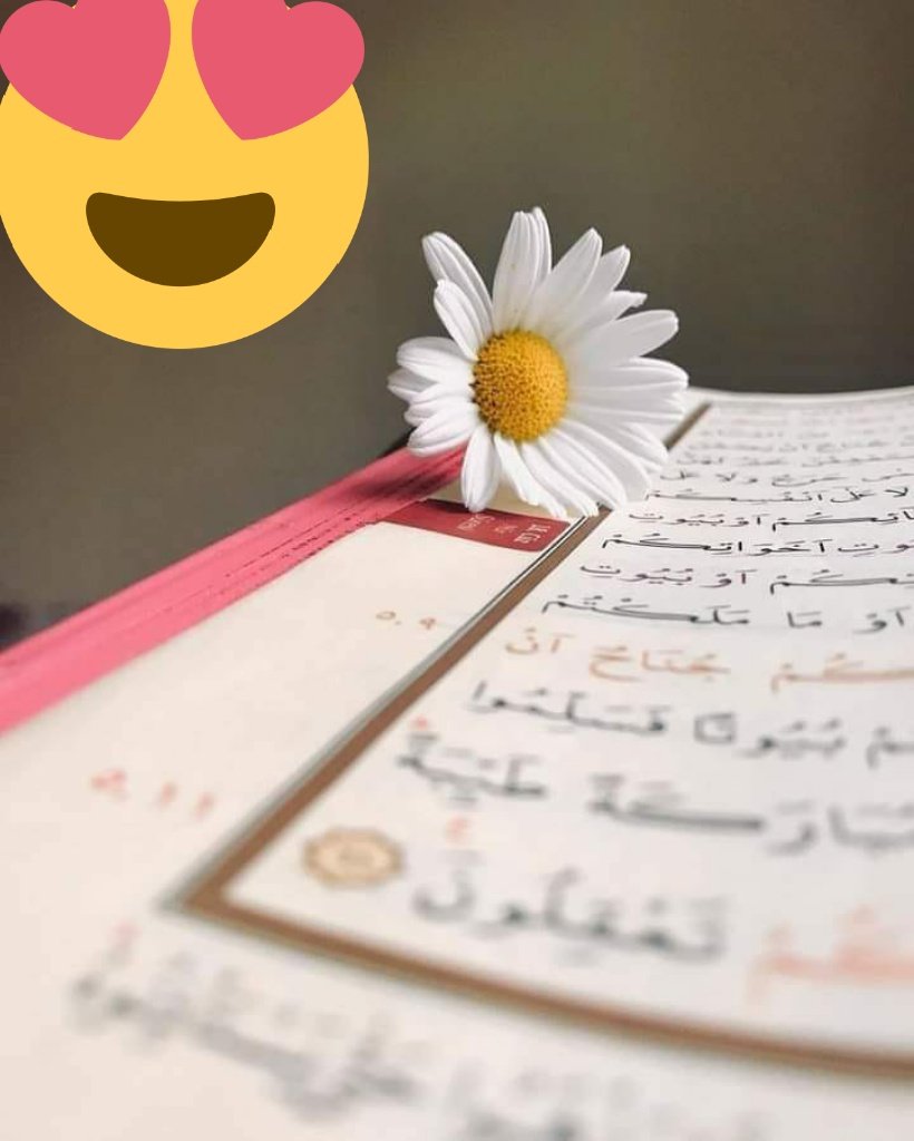 𝙼𝚊𝙻𝚒𝙺🇵🇰𝙱𝚊𝚀𝚒𝚁🇵🇸😎🌸 tweet media