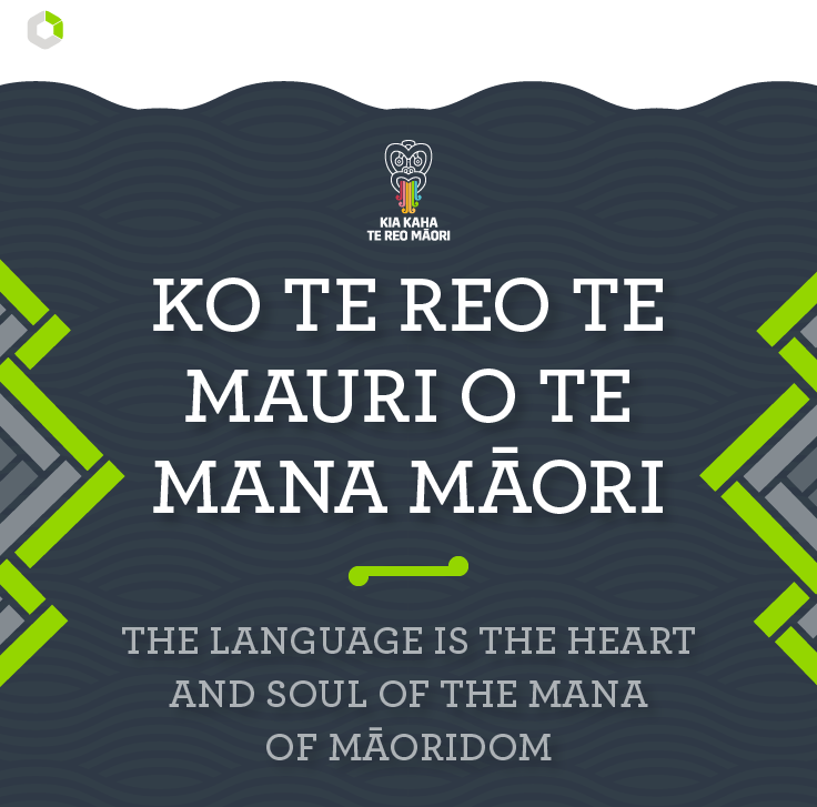 datatorque's tweet photo. Language is key to any culture around the world. Te Wiki o Te Reo Māori (Māori Language Week) encourages us to discover and embrace our culture here in Aotearoa. https://t.co/Ha31OeTue7