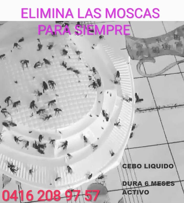 AMORESDEPERROS1's tweet photo. Plaza Venezuela
Koki
Elimina  las es moscas para siempre https://t.co/hcnLsw6VmM