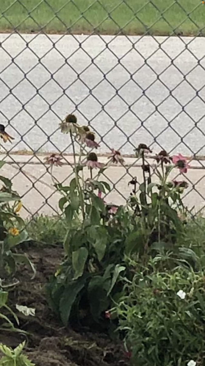 Do you know what is being created?  Watch for more photos about this space! Hint a few have already been shared👍💕 right @TracyPa68386139 @mrdmcampbell #OwnYourTomorrowPRES
